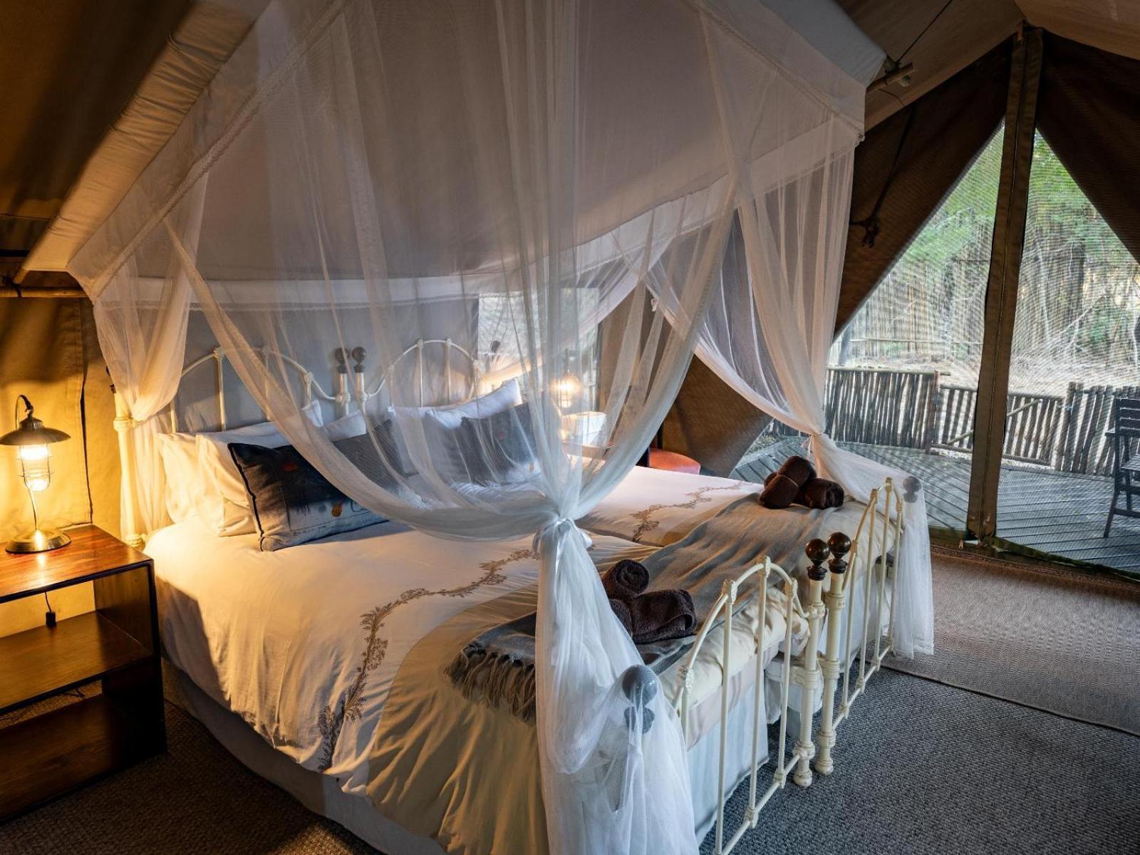 Kwambili Game Lodge محمية ثورنيبوش للطيور البرية الغرفة الصورة
