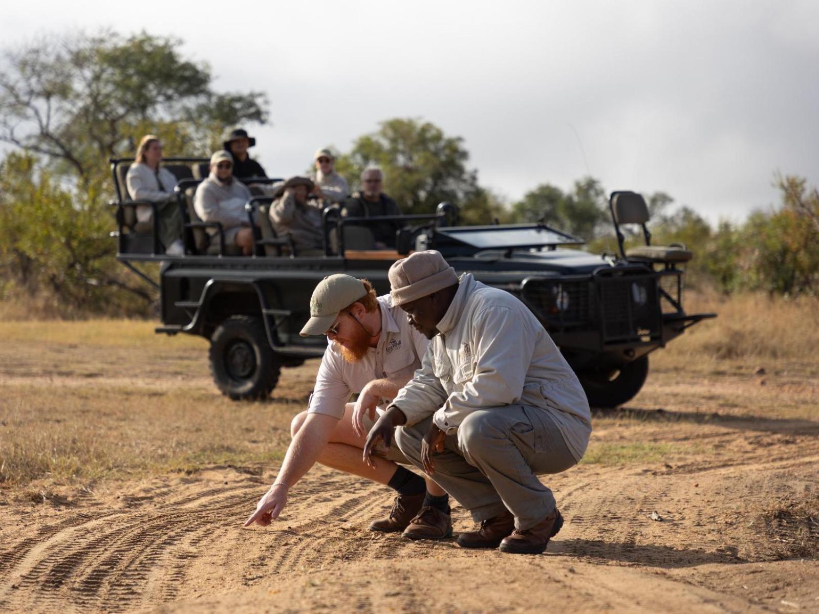Kwambili Game Lodge محمية ثورنيبوش للطيور البرية المظهر الخارجي الصورة
