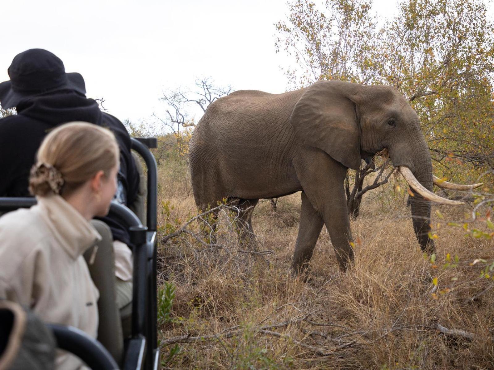 Kwambili Game Lodge محمية ثورنيبوش للطيور البرية المظهر الخارجي الصورة