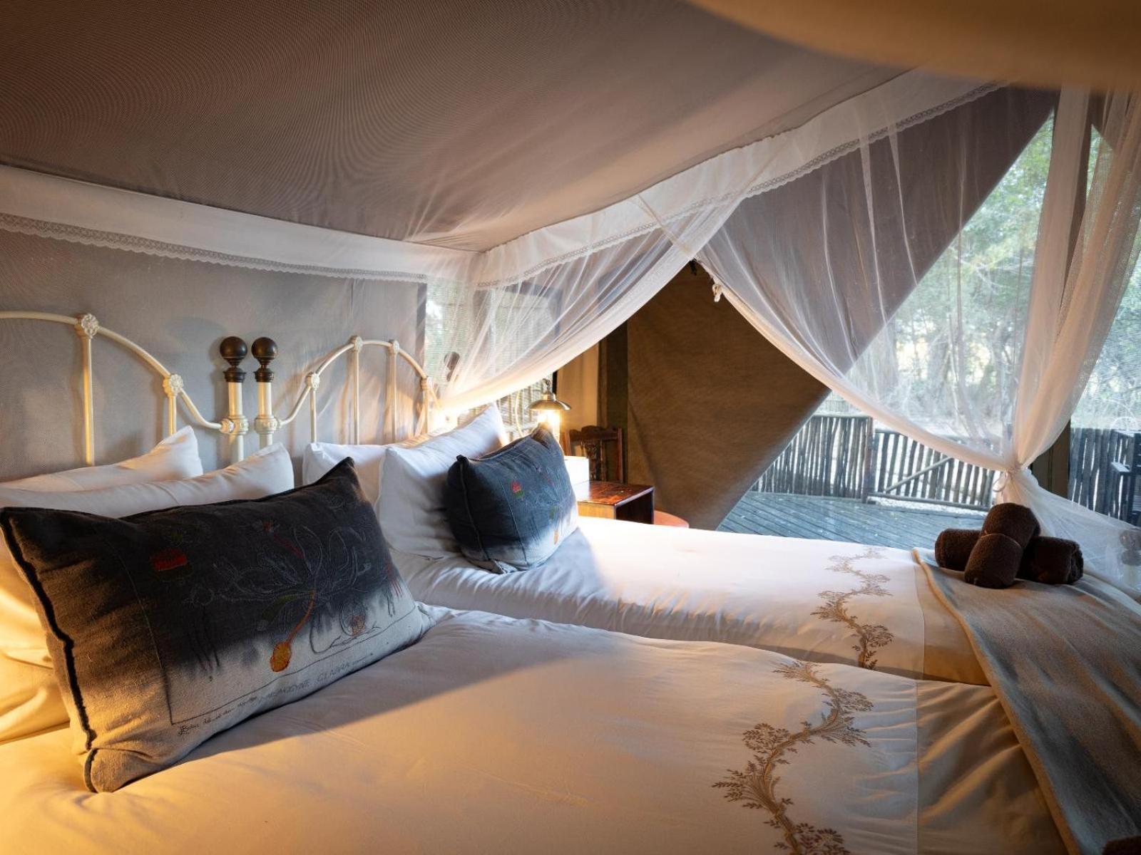 Kwambili Game Lodge محمية ثورنيبوش للطيور البرية المظهر الخارجي الصورة