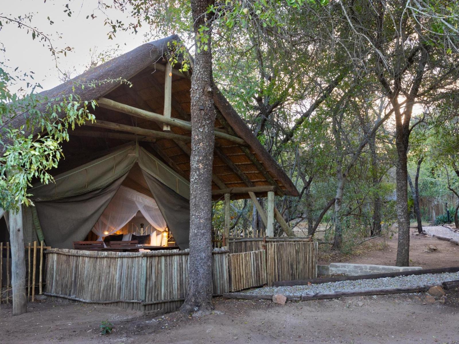 Kwambili Game Lodge محمية ثورنيبوش للطيور البرية الغرفة الصورة