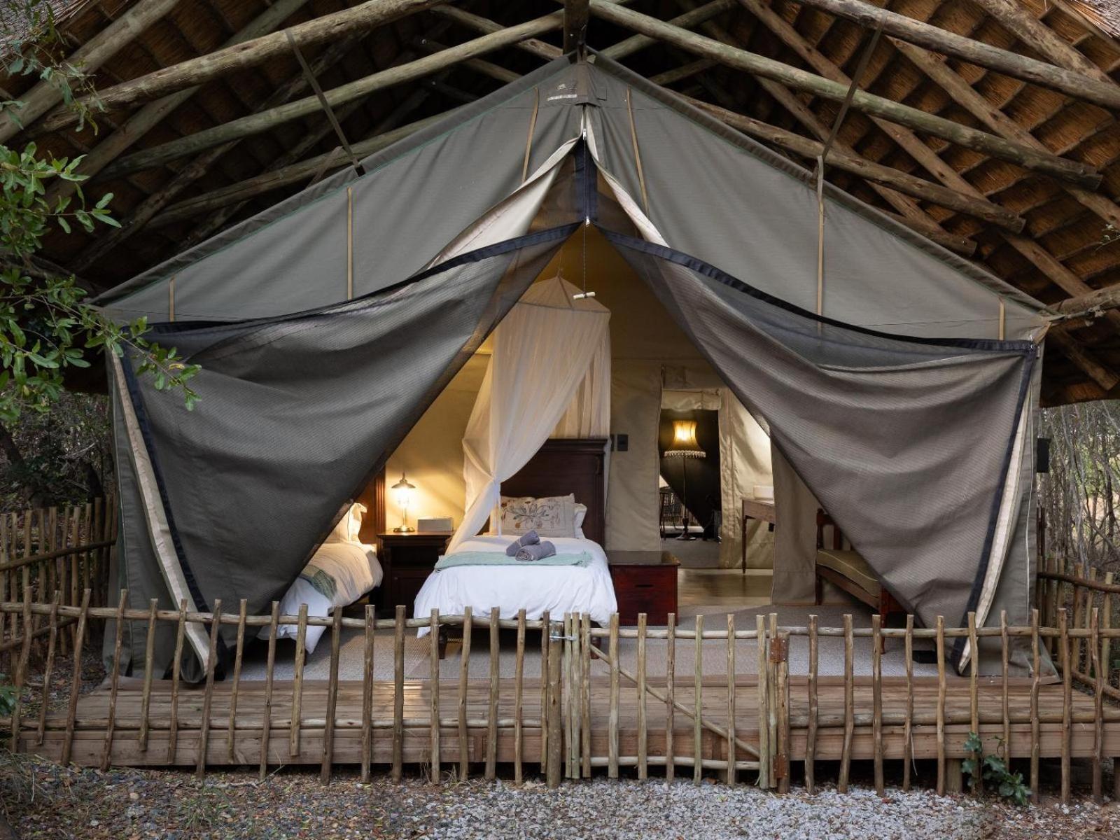 Kwambili Game Lodge محمية ثورنيبوش للطيور البرية الغرفة الصورة