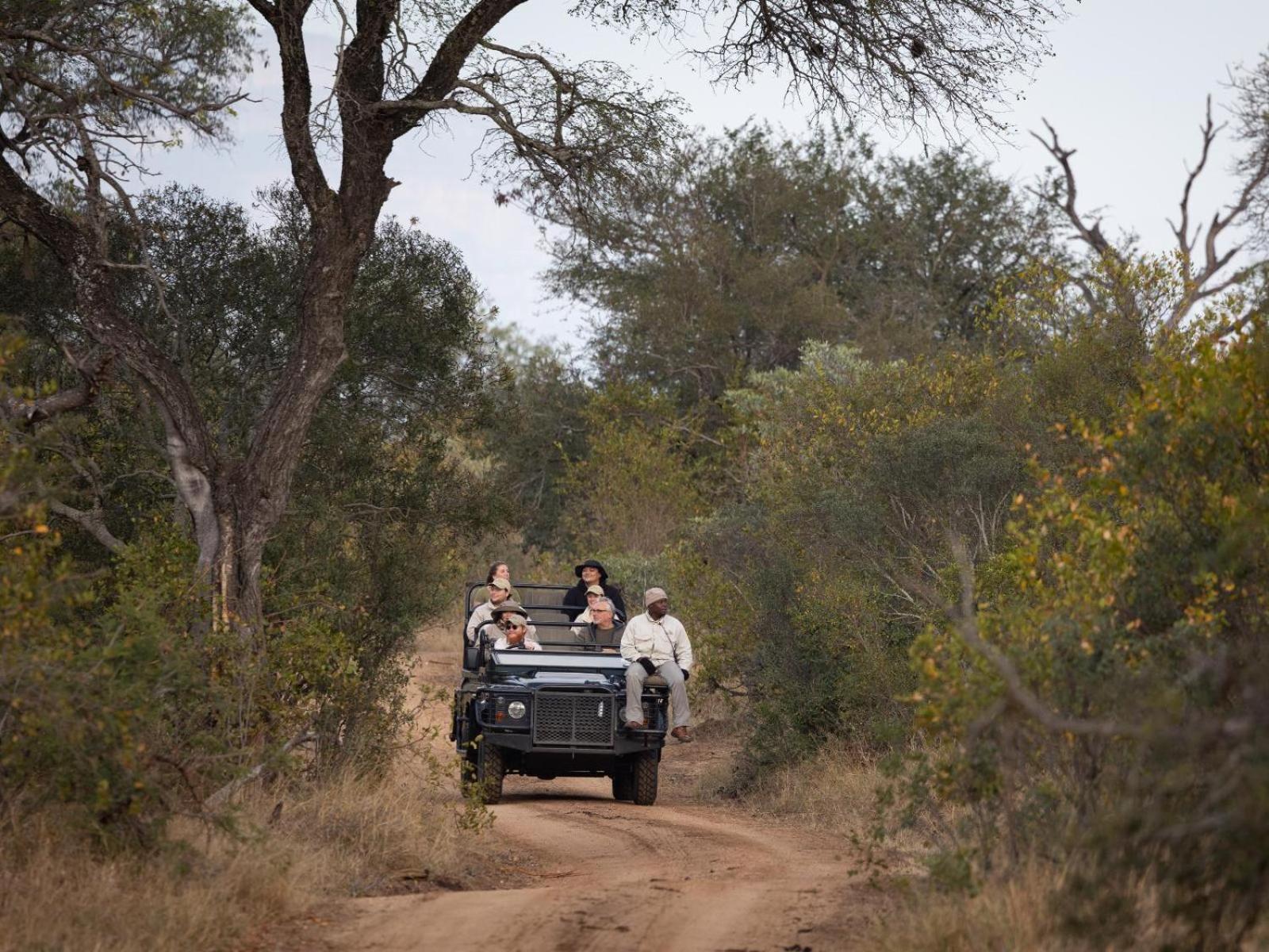 Kwambili Game Lodge محمية ثورنيبوش للطيور البرية المظهر الخارجي الصورة